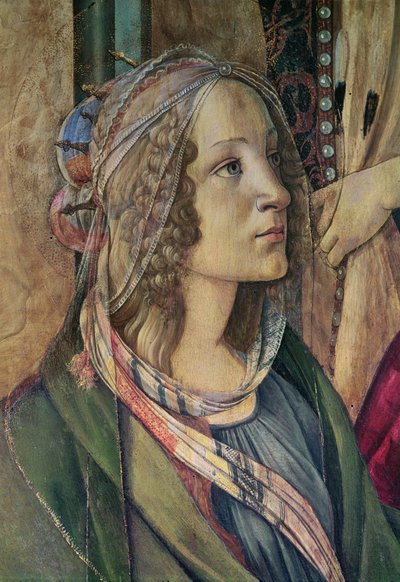 パネル上のサンバルナバの祭壇画からの聖カタリナの詳細、1488年頃のテンペラ 作： Sandro Botticelli